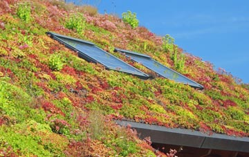 Leverton Highgate living roof systems