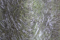 Leverton Highgate fibreglass roof work